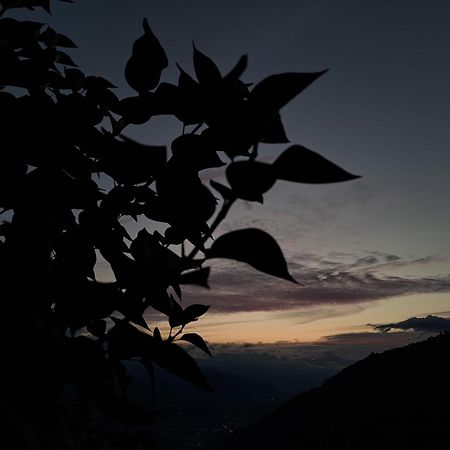 Penzion Alt'O Martinets Nendaz Exteriér fotografie