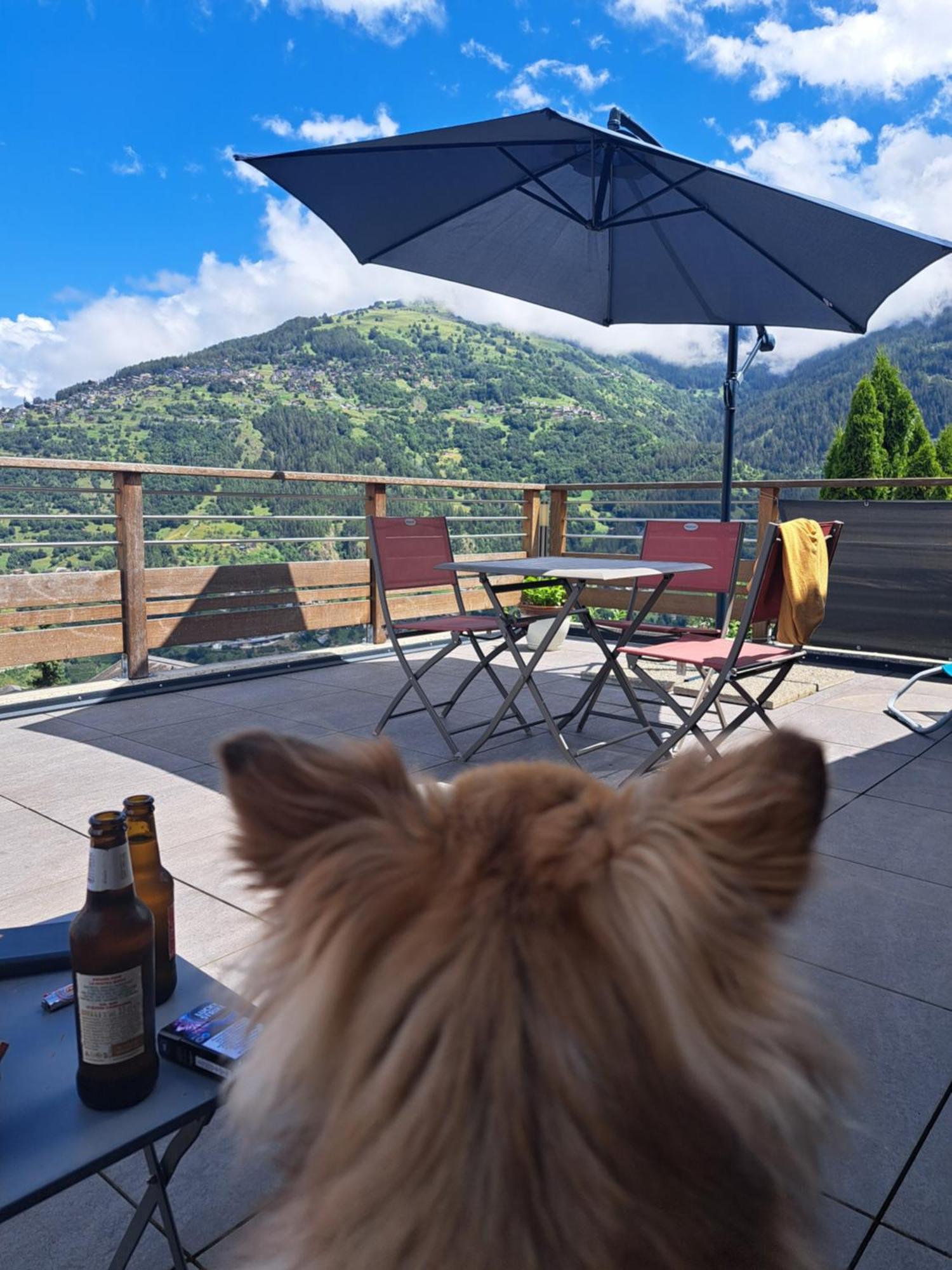 Penzion Alt'O Martinets Nendaz Exteriér fotografie