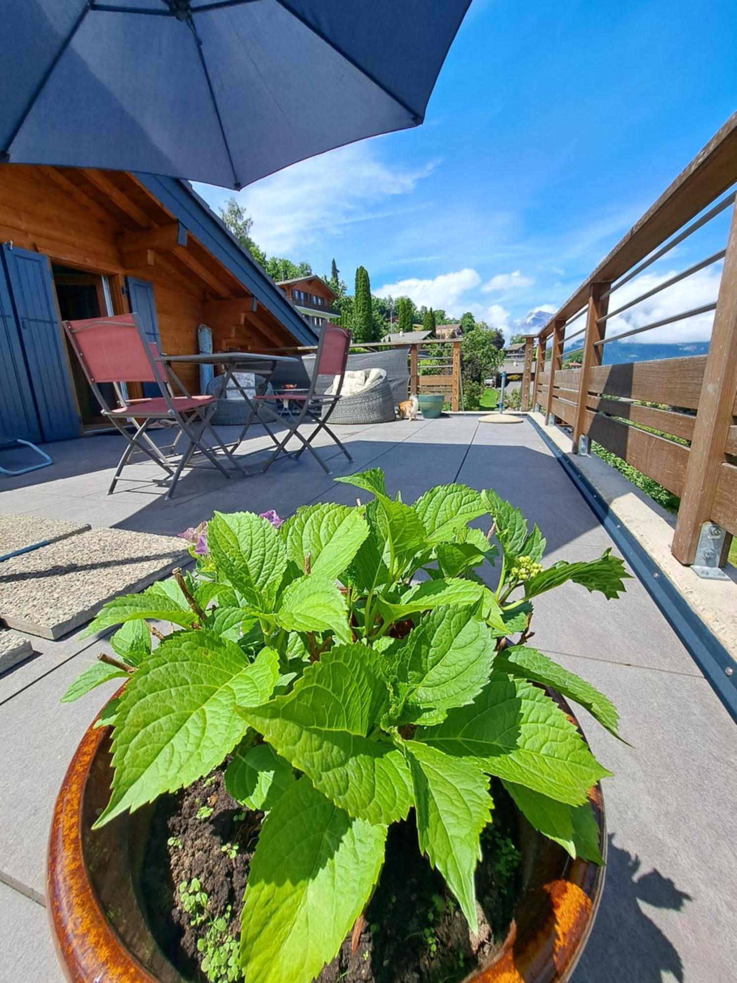 Penzion Alt'O Martinets Nendaz Exteriér fotografie