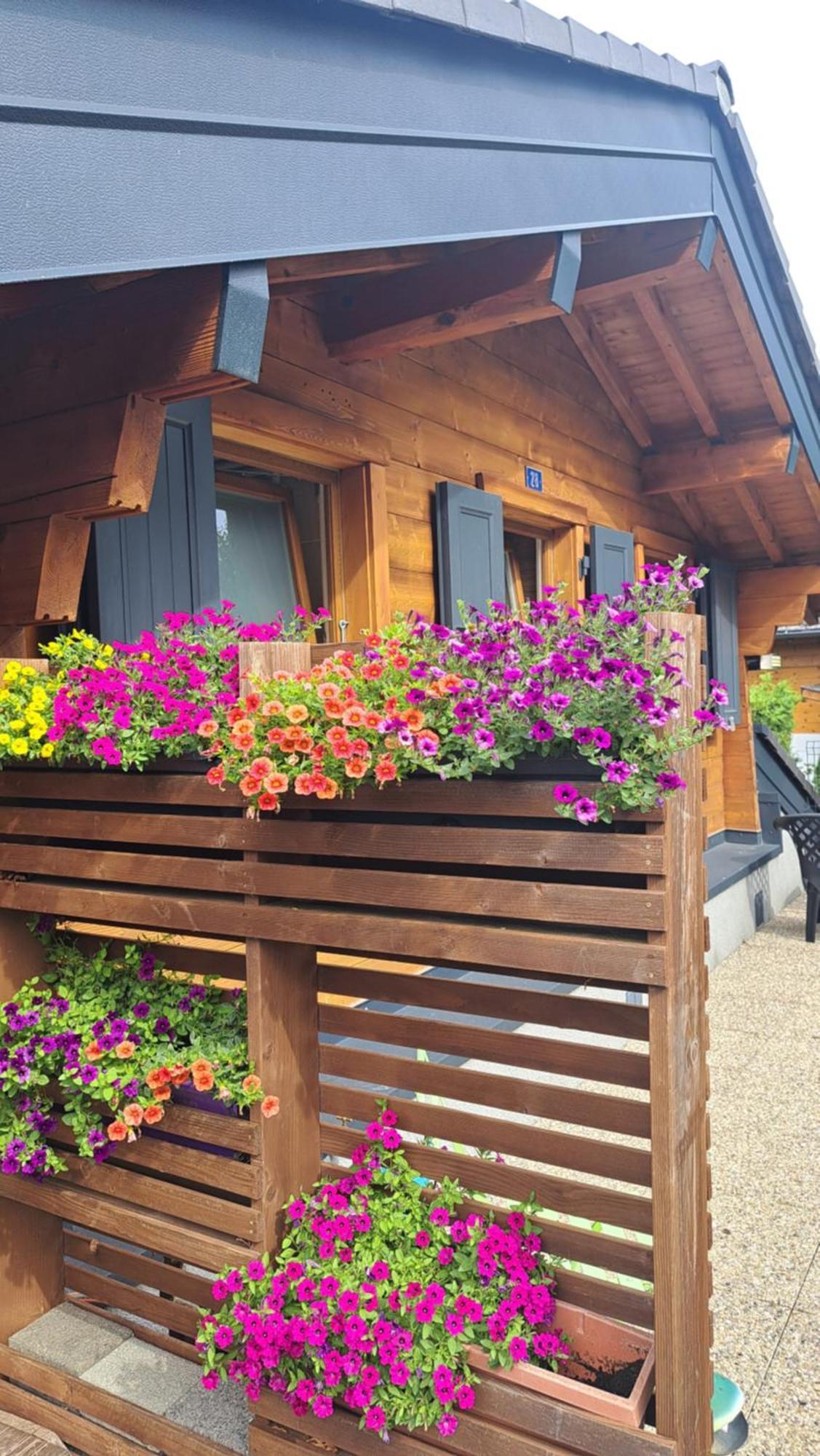 Penzion Alt'O Martinets Nendaz Exteriér fotografie