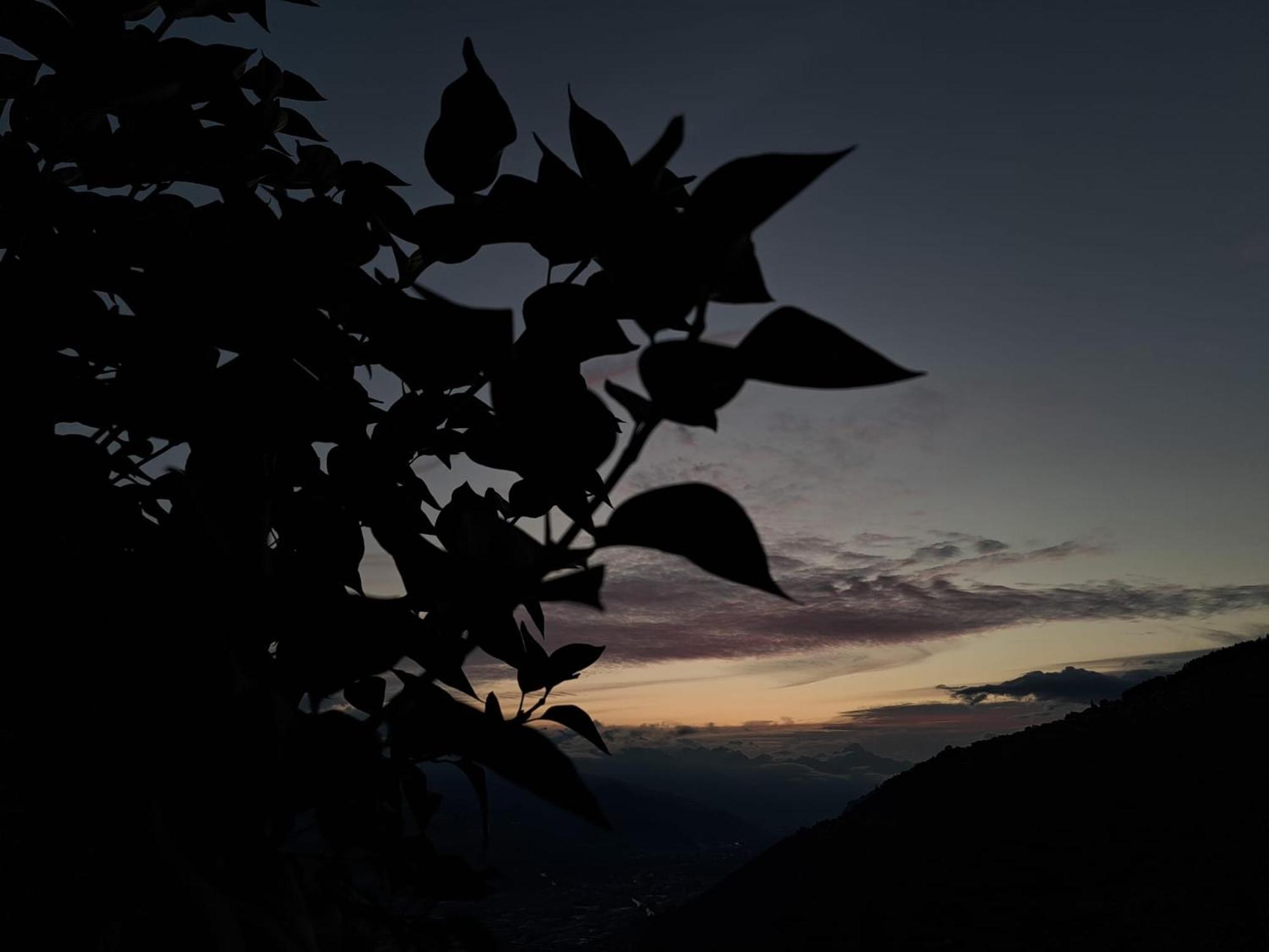 Penzion Alt'O Martinets Nendaz Exteriér fotografie